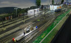 Stock Shed