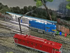 Stock Shed