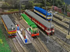 Stock Shed